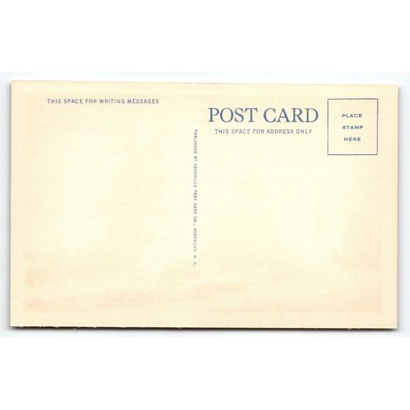 Vintage Linen Postcard New Pelican Hotel Stuart FL St. Lucie River - Picture 2 of 2